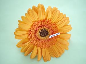 安いカラーコピーは印刷通販の成徳