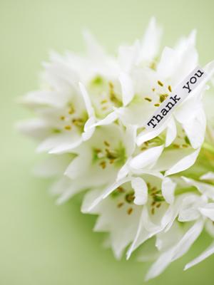 印刷を通販で依頼するならここが一番です