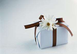 ペルシャとギャッベに関すること